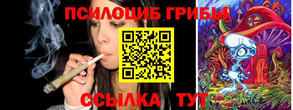 Псилоцибиновые грибы GOLDEN TEACHER Кировск